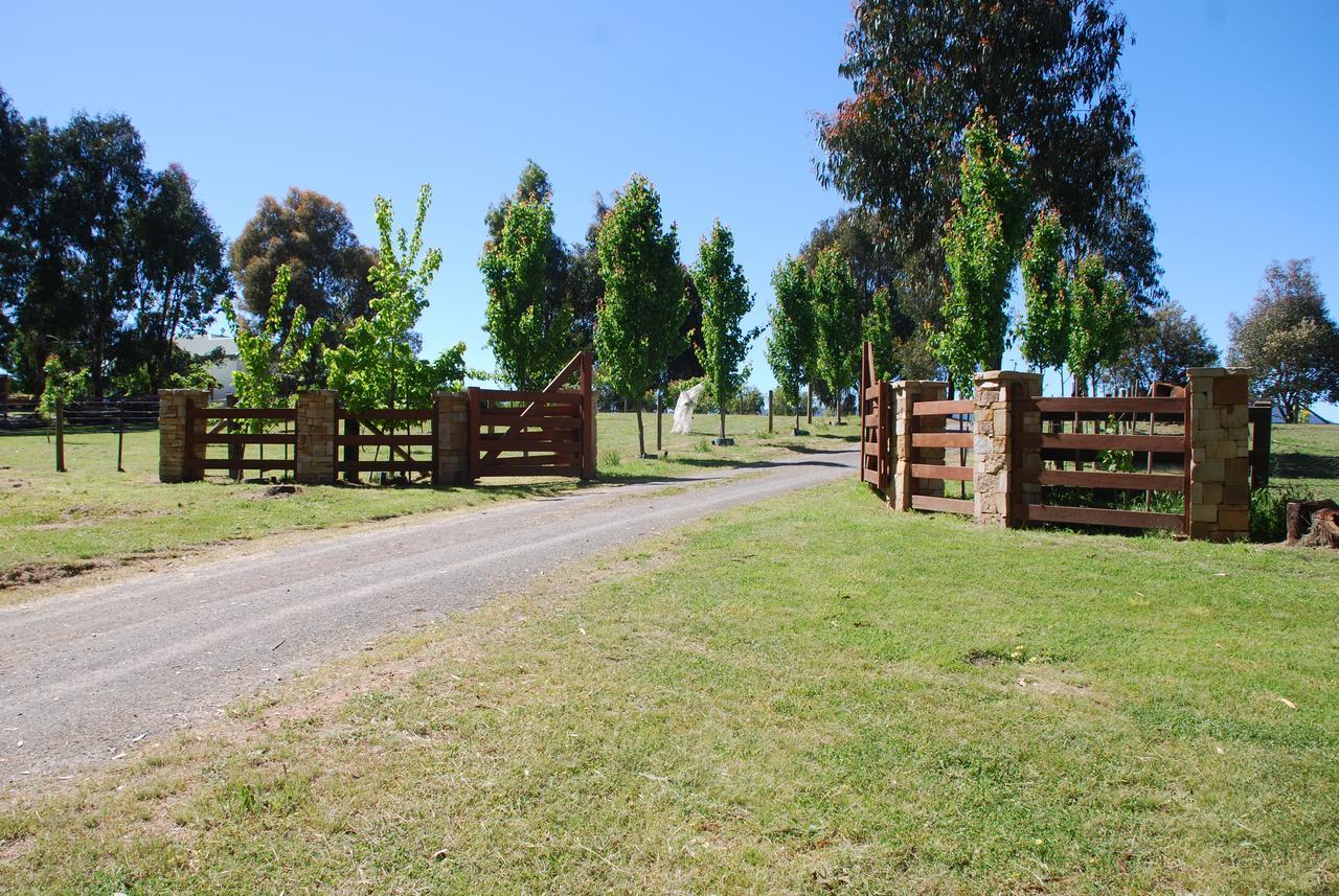 Bluegum Ridge Cottages Merrijig Exterior foto