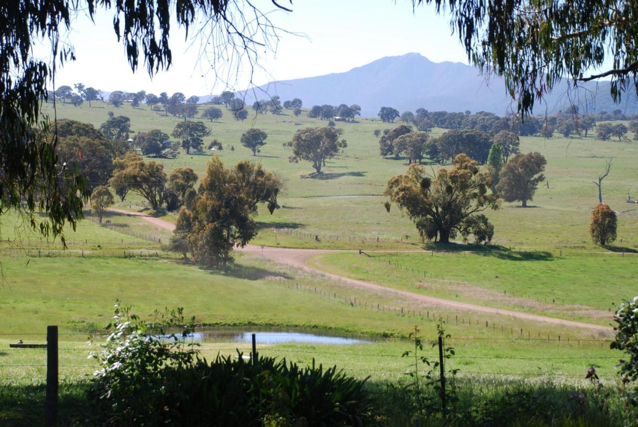 Bluegum Ridge Cottages Merrijig Zimmer foto