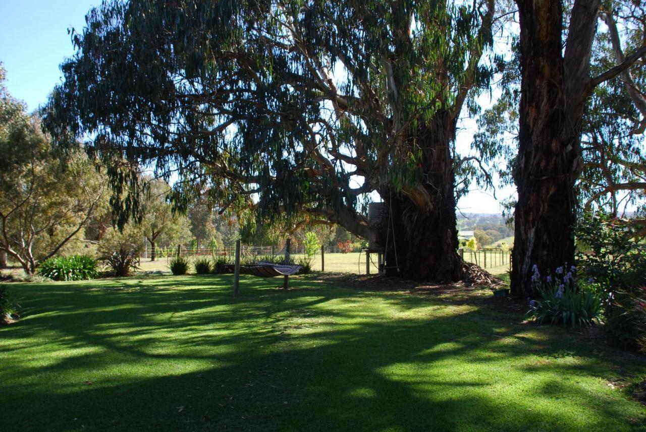 Bluegum Ridge Cottages Merrijig Zimmer foto