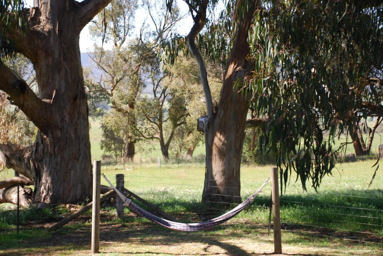 Bluegum Ridge Cottages Merrijig Zimmer foto
