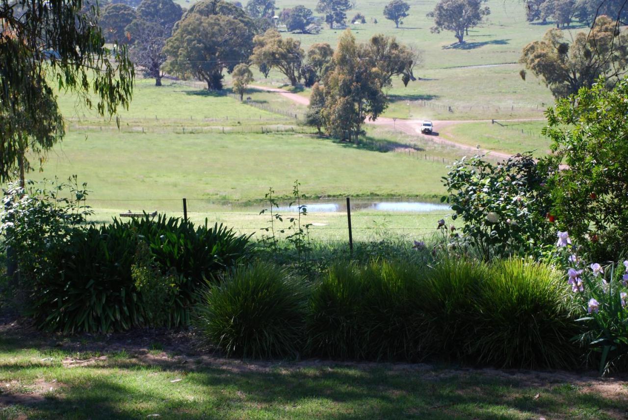 Bluegum Ridge Cottages Merrijig Zimmer foto